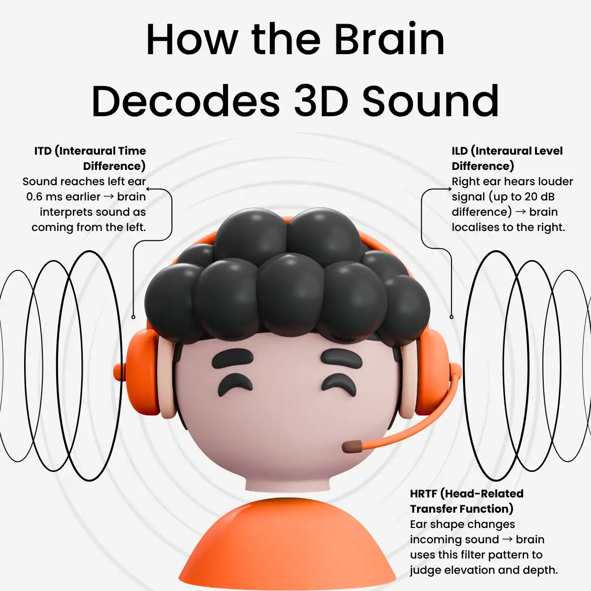 How to brain decodes 3D sound