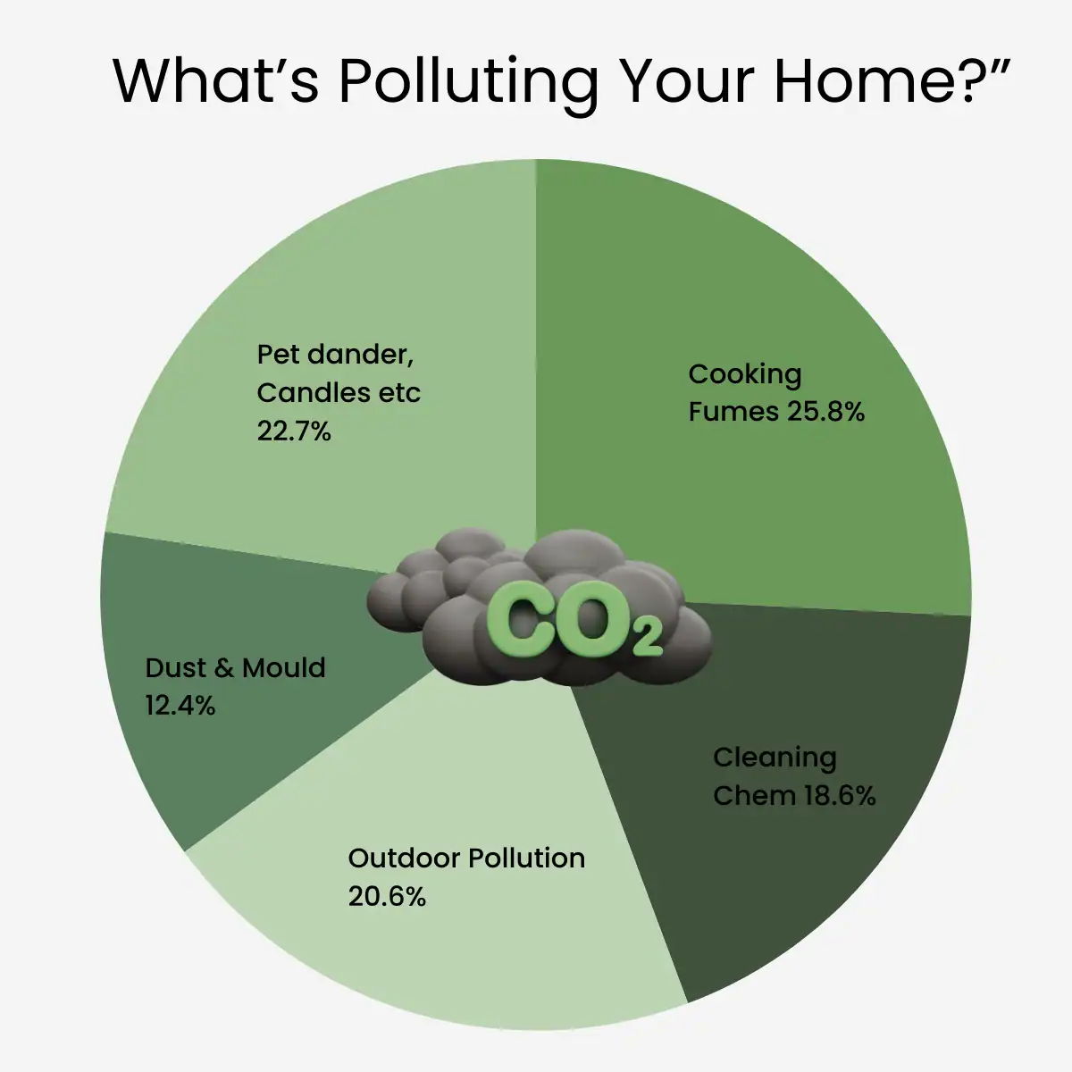 what's polluting your home - infographic