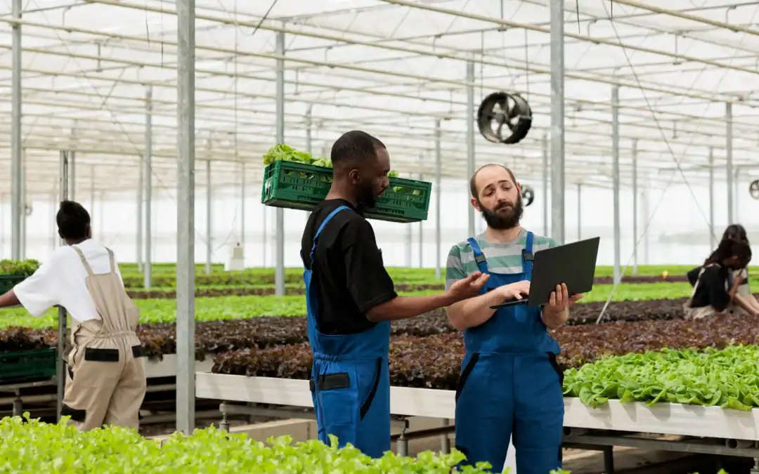 Contract Electronics Manufacturer for Agricultural Technology